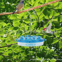 Hummingbird Feeder Outdoor Hanging Dish for Garden
