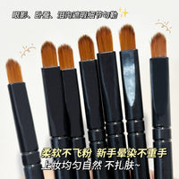 Eyeshadow Brush Set for Beginners - 3-Piece Nylon Makeup Brushes with Individual Packaging