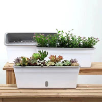 Self-Watering Narrow Rectangular Planter Box for Windowsills and Balconies