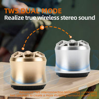 Portable Metal Bluetooth Speaker with Bass, Mini Outdoor/Home Use, TF Card & FM Radio Support