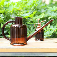 Large Long Spout Detachable Watering Can for Indoor Plants and Gardening, Portable Plastic Transparent Spray Bottle