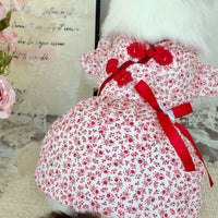 Pet Chinese New Year Princess Dress with Frog Closures for Cats and Dogs