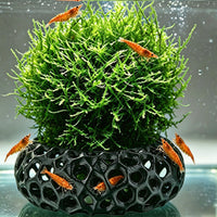 3D Printed Aquatic Breeding Shelter and Decor for Fish and Shrimp Tanks, Biodegradable PLA/PETG