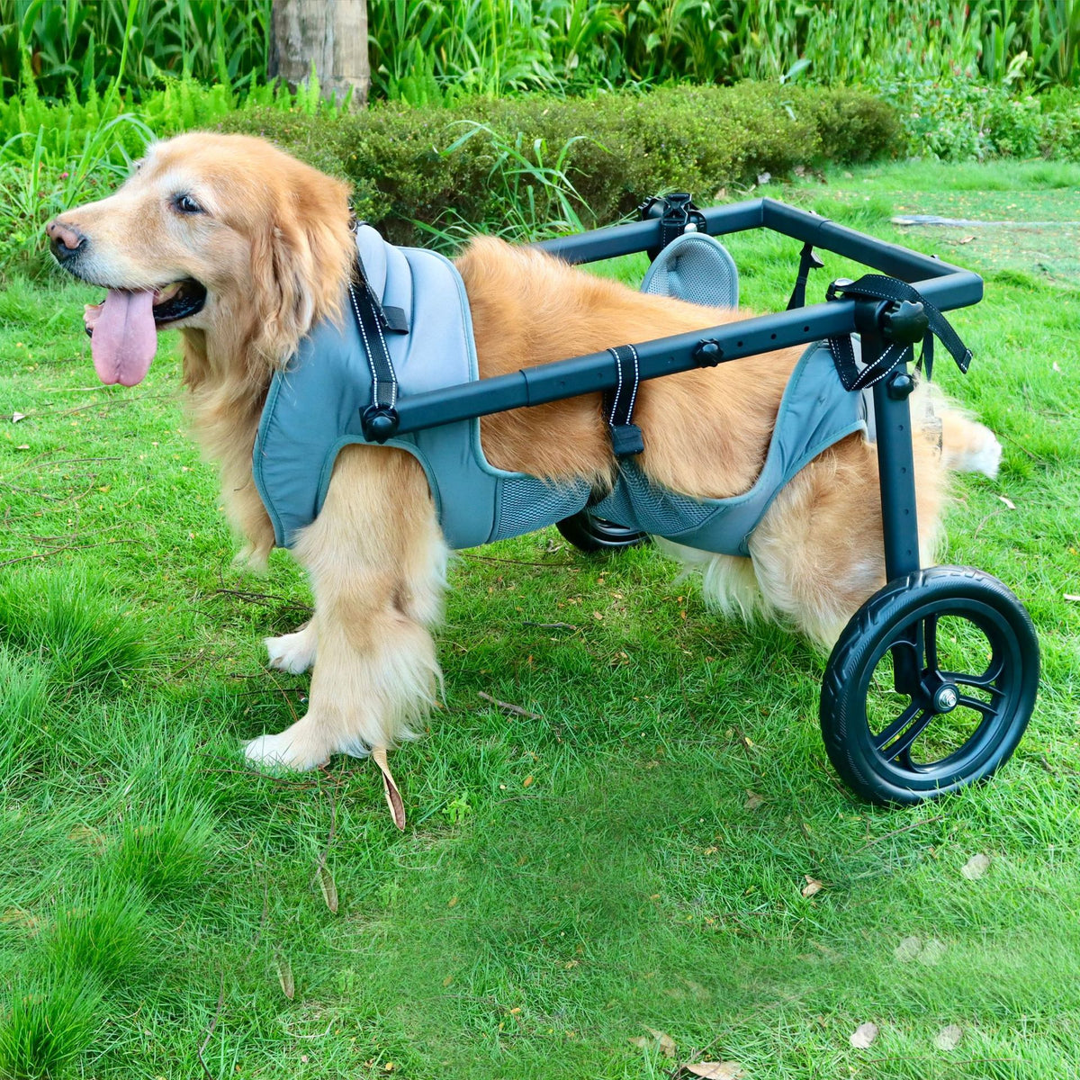 Pet Dog Wheelchair for Medium to Large Dogs, Rehabilitation and Walking Aid Cart