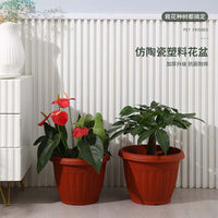 Two-Tone Resin Plastic Nursery Pot for Seedlings and Succulents