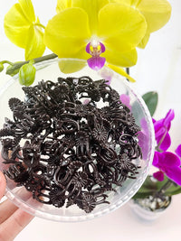 Orchid Plant Support Stakes with Clips for Climbing Vines and Floral Arrangements