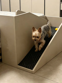 Pet Bedside Ramp for Small Dogs - Non-Slip Ladder for Teddy, Bichon, Chihuahua