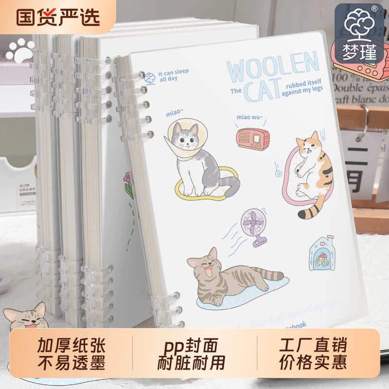 Dreamy Cat B5 Loose-Leaf Notebook Set, Frosted Cover, Detachable Ring Binder for Students