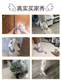 Telescopic Cat Wand Toy with Feather Teaser, 1.8 m Long Rod, Extendable Fishing Rod