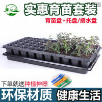 Seedling Starter Trays with Drip Trays for Vegetables and Succulents