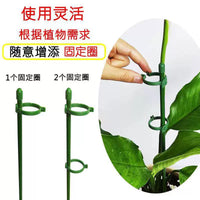 Plant Support Stakes for Tomatoes, Peppers and Climbing Flowers