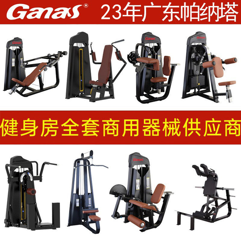 Commercial Gym Leg, Back, and Abdominal Strength Training Equipment