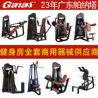 Commercial Gym Leg, Back, and Abdominal Strength Training Equipment