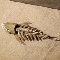 Aquarium Dinosaur Skeleton Skull Fish Bone Hideout Decoration