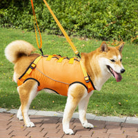 Pet Rehabilitation Support Harness for Elderly & Disabled Dogs - Mobility Aid for Walking, Stairs, and Outdoor Travel