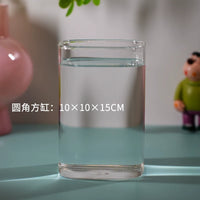 High Transparency Glass Mini Fish Tank with Rounded Corners for Betta Fish and Micro-Landscape
