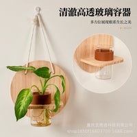 Creative Hanging Hydroponic Planter with Rope and Wooden Mount for Indoor Plants