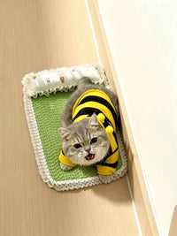 Cat Scratching Board and Cooling Bed Combo with Ice Pad for Summer