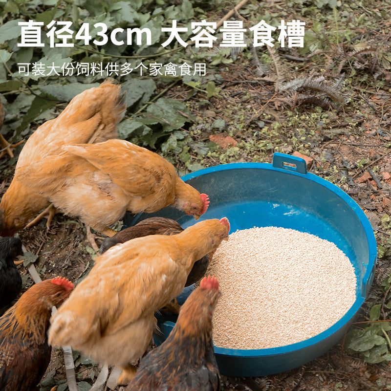 Poultry Feeder for Chickens, Ducks, and Geese - Anti-Scatter Design