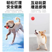 Durable Rubber Dog Chew Ball for Training and Play, Teething Aid for Puppies and Small Dogs