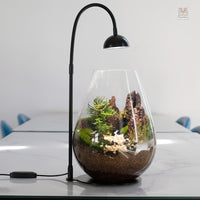 Glass Terrarium Container for Hydroponics and Micro-Landscape