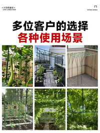 Heavy-Duty Coated Steel Garden Arch Trellis for Climbing Plants, Grapes, and Passion Fruit