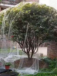 Orchard Bird Netting for Fruit Trees and Vegetables - Durable Nylon Protective Mesh