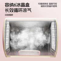 Pet Cooling House with Ice Packs for Cats and Small Dogs, Summer Relief Pet Bed