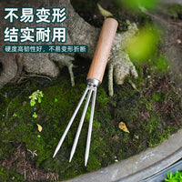 Stainless Steel Bonsai Soil Loosening Rake and Fork Tool for Gardening