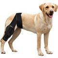 Dog Knee Brace for Injury Recovery and Joint Protection