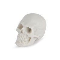 Aquarium Fish Tank Ornament Animal Skull Head Decor for Landscaping and Pet Habitat