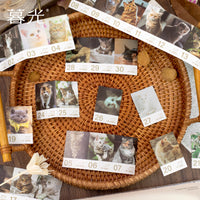 2026 Tear-Off Daily Calendar Planner with DIY Material Stickers and Study Plan Tracker