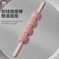 Muscle Roller Stick for Yoga and Fitness, Spiky Massage Tool for Legs and Calves