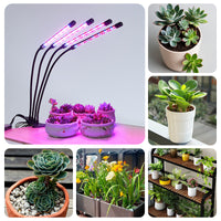 Full Spectrum LED Grow Light for Indoor Plants with Timer and Clip