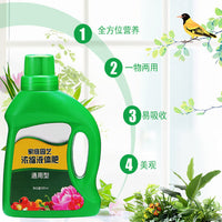 Universal Concentrated Plant Nutrient Solution for Hydroponic Potted Plants and Greenery
