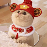 Pet God of Wealth Costume Hat for Cats and Dogs, Festive Chinese New Year Pet Headwear