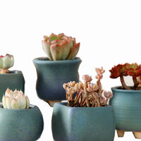 Ceramic Succulent Planter Pots with Breathable Design for Home and Garden