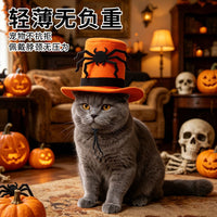 Pet Halloween Skull Spider Hat for Dogs and Cats - Festive Headwear Photo Prop