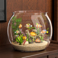 Transparent Desktop Fish Tank with Base and Oxygen Pump for Goldfish and Turtles