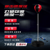 Freestanding Punching Bag with Speed Ball for Adults and Kids, Inflatable Boxing Training Equipment