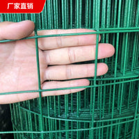 PVC Coated Welded Wire Mesh Fence for Farm Enclosures and Poultry