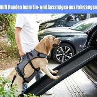 Dog Full Body Support Harness for Post-Surgery Recovery and Joint Care