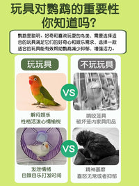 Silent Running Wheel Toy for Parakeets and Small Birds, Stress Relief and Enrichment