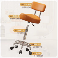 Adjustable Saddle Stool with Backrest for Kitchen, Salon, and Office
