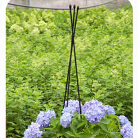 Adjustable Triangular Plant Support Trellis for Climbing Plants and Potted Flowers