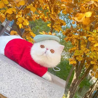 Pet Beret Hat for Dogs and Cats - Painter Style Octagonal Cap