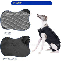 Full Body Dog Lift Harness for Injured, Disabled, or Elderly Dogs - Support Sling for Walking, Recovery, and Mobility