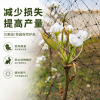 Heavy-Duty HDPE Square Mesh Netting for Climbing Plants, Pond Protection, and Fruit Tree Guard