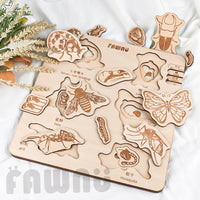 Montessori Wooden Animal Evolution Layered Puzzle for Early Education