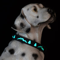 LED Light-Up Pet Collar and Leash Set for Dogs, Rechargeable Glowing Christmas Tree Pattern